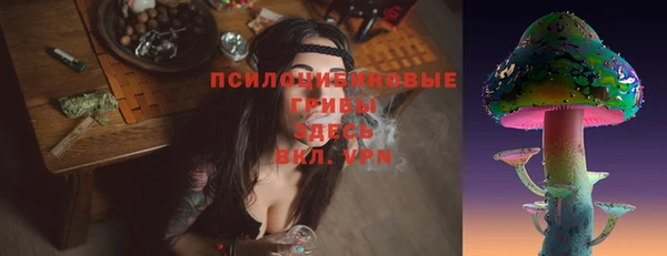 бошки Алексеевка
